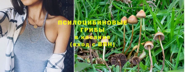дмт Балабаново