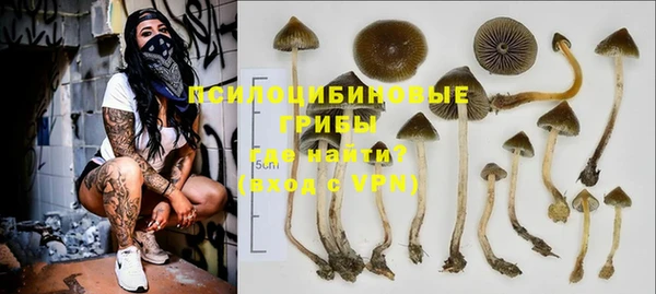 каннабис Баксан