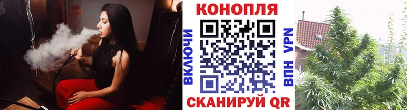 Каннабис гибрид  цены   Кодинск 